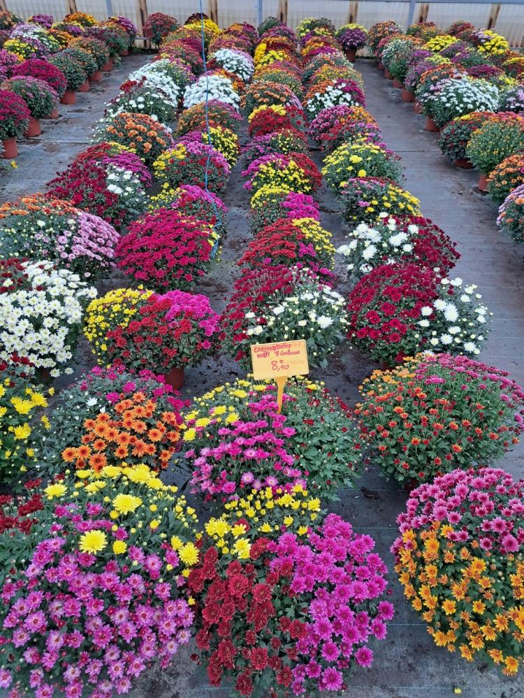 horticulteur (32)