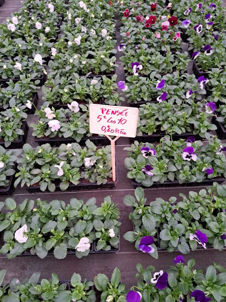 horticulteur (37)