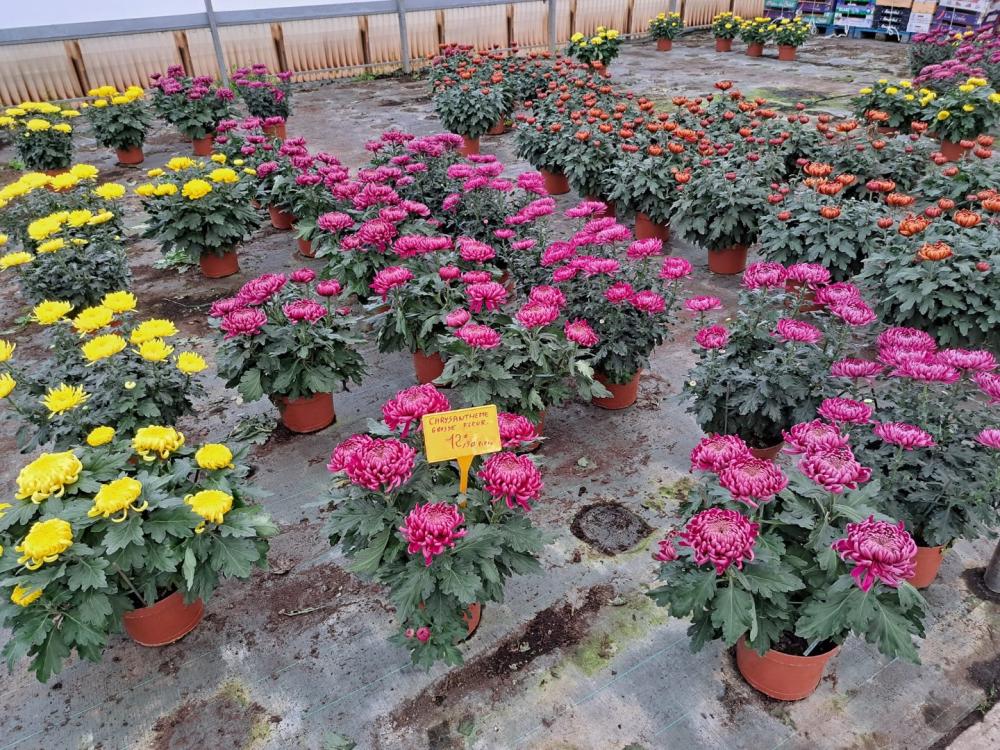 horticulteur (30)