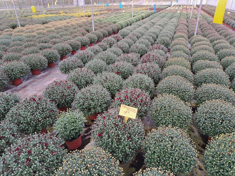 horticulteur (24)