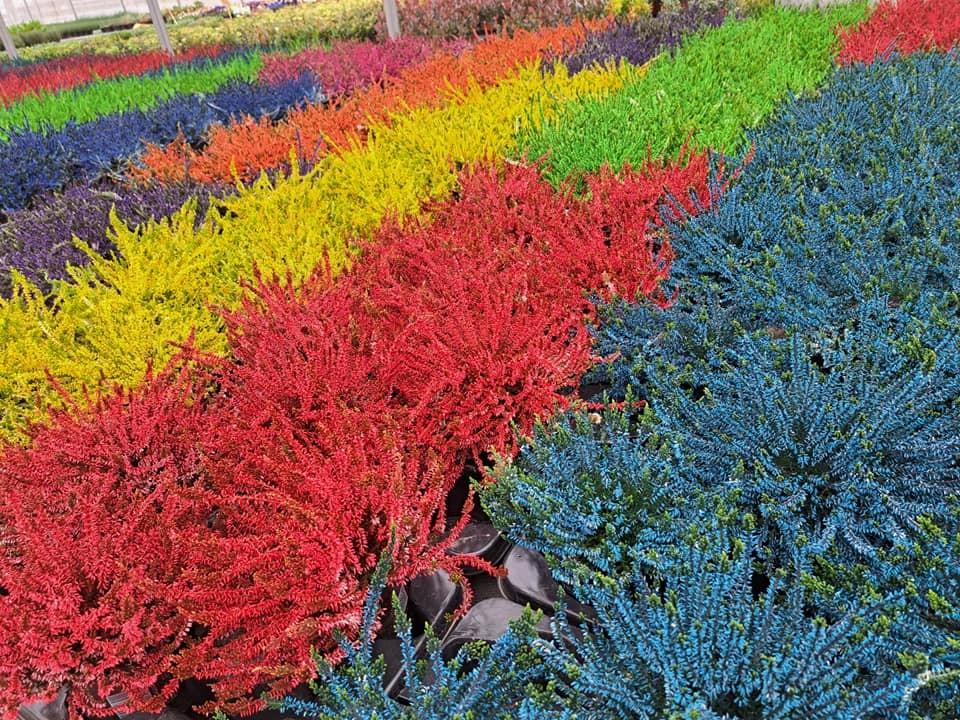 horticulteur (28)