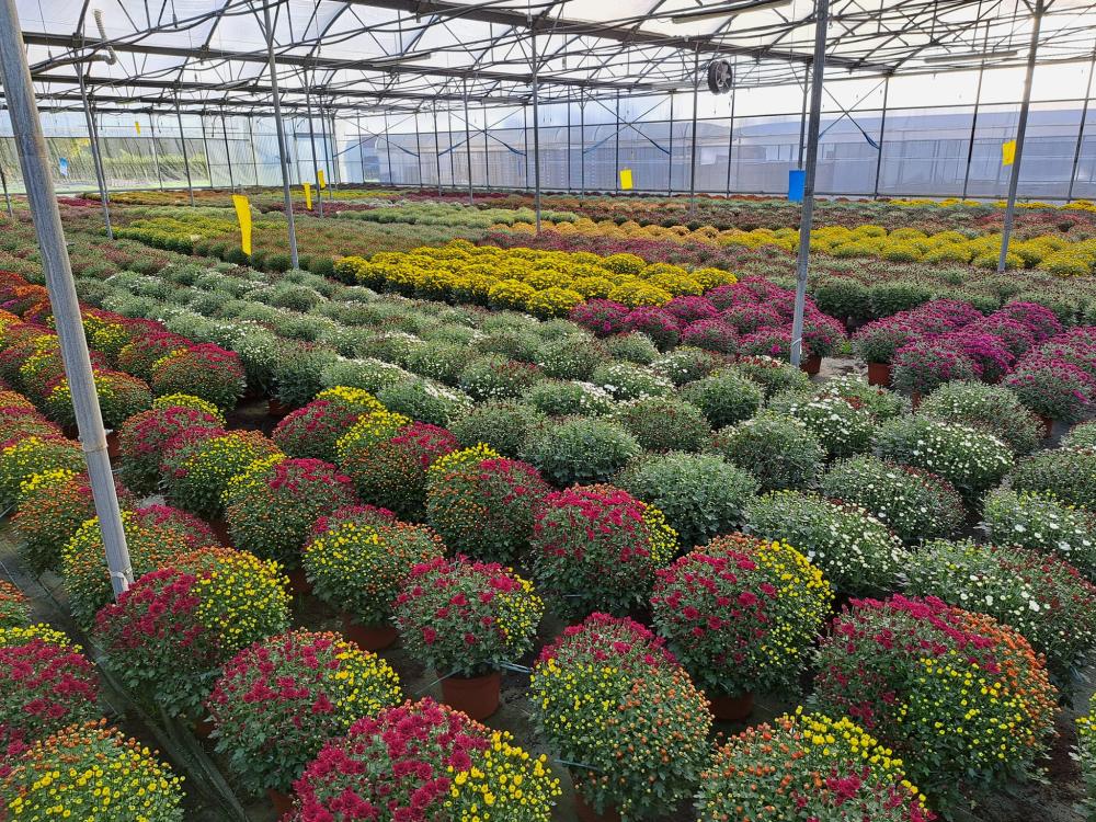 horticulteur