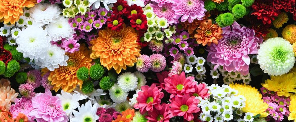 horticulteur